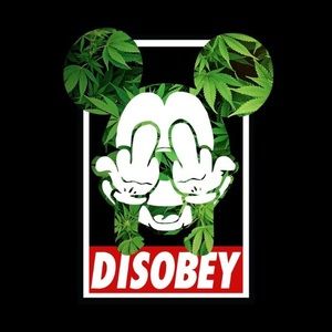 Meet your Posher, Tommy